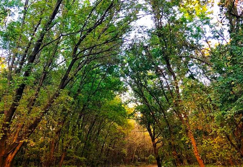 Kansas City's Best Bike Trails