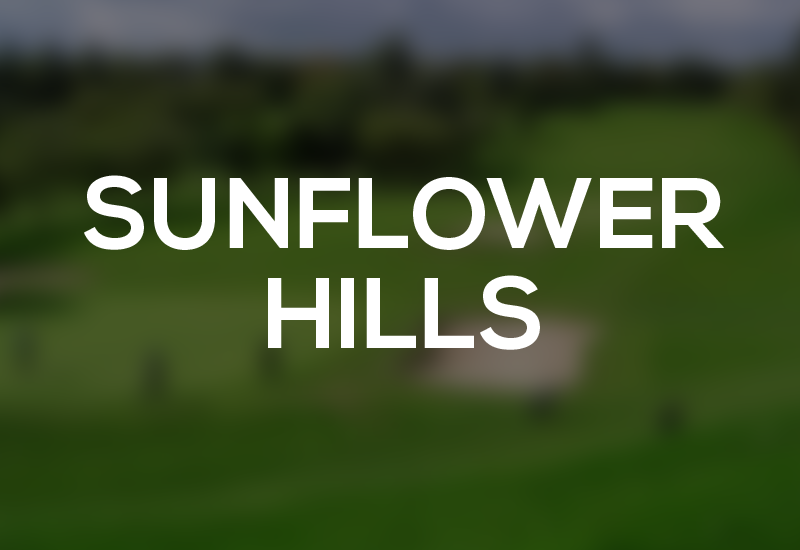 Kansas City's Best golf park