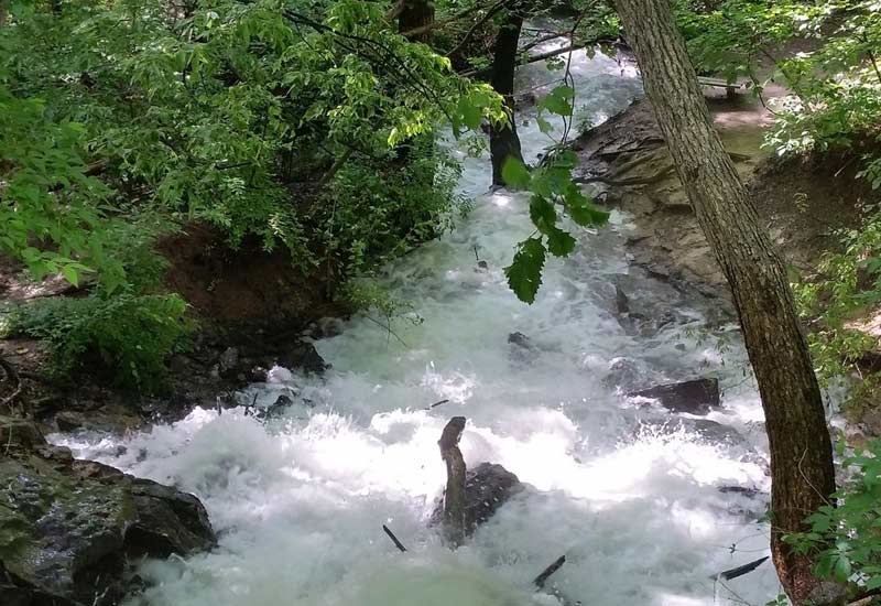 Kansas City's Best Hiking Trails