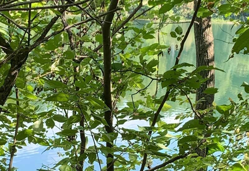 Kansas City's Best Hiking Trails