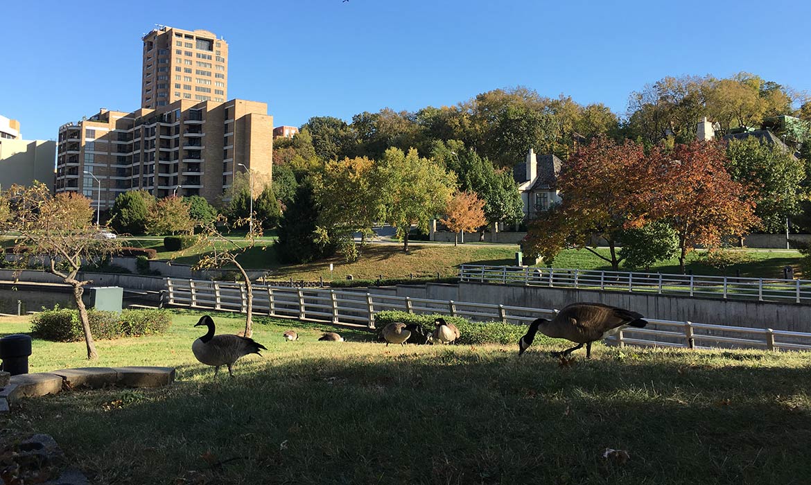Brush Creek, Kansas City